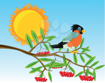 Branch of rowanberry with berry and bird on her