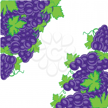 Vector illustration of the decorative background from ripe grape on branch