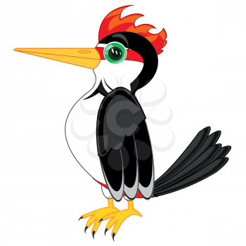 Drawing of the bird woodpecker on white background is insulated