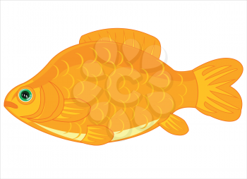 Vector illustration of river fish carp cartoon