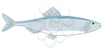 Vector illustration of the cartoon of sea commercial fish herring