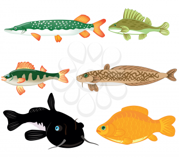 Vector illustration of fish dwelling in fresh water