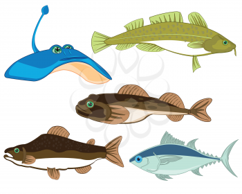 Valuable sorts sea and seagoing fish on white background is insulated