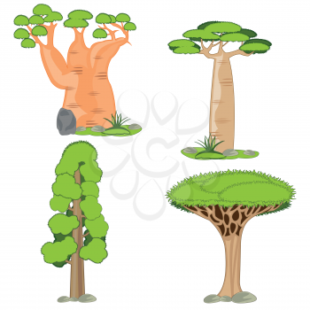 Vector illustration unusual exotic tree dragon tree,sequoia,bottled tree and baobab
