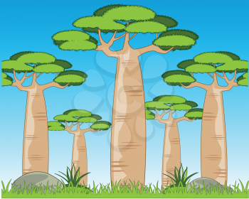 Vector illustration of the beautiful year landscape with exotic tree baobab