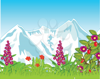 Flowering year meadow with green herb on background of the snow mountains