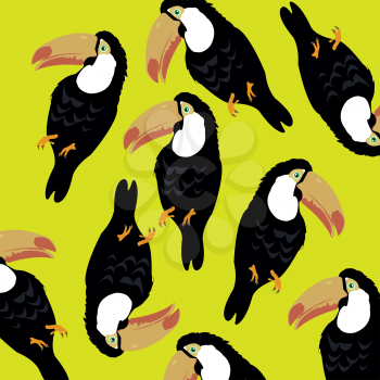 Bird toucan on yellow background is insulated
