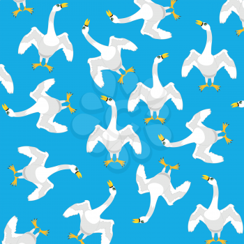 Birds geese on turn blue background is insulated