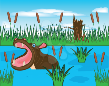 Vector illustration african animal hippopotamus bathing in marsh