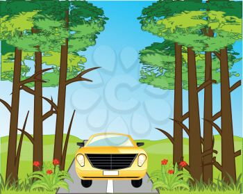 Year landscape with wood and car driving on road