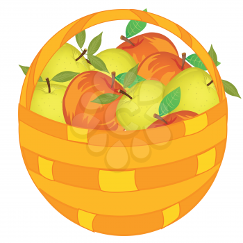 Vector illustration of the basket pervaded ripe apple