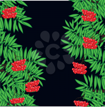 Vector illustration of the background from branches rowanberry and berries on dark background