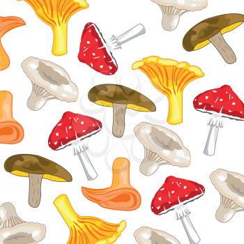 Pattern from edible and poisonous mushroom on white background is insulated