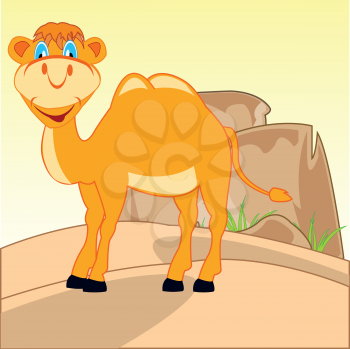 The Drawing animal camel in deserted terrain.Vector illustration