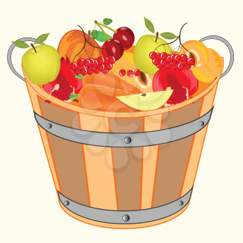 Bucket with fruit and berry on white background is insulated