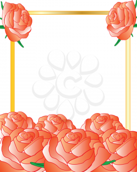 Frame with flower of the roses on white background
