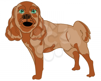 Vector illustration of the dog of the sort spahiel