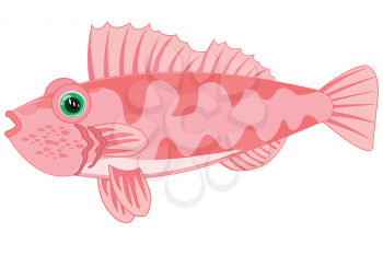 Vector illustration of the cartoon of fish of the sea perch