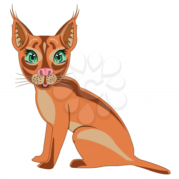 Vector illustration of the cartoon steepe trot caracal