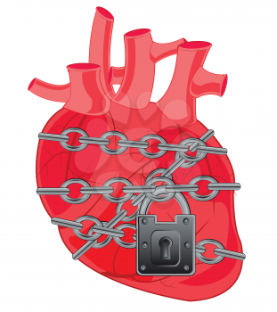 Internal organ of the person heart on chain locked on lock