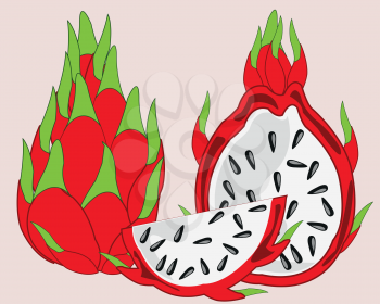 Vector illustration of the exotic fruit pitaya on white background