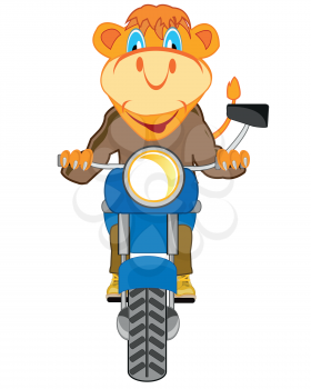 Cartoon animal on motorcycle on white background is insulated