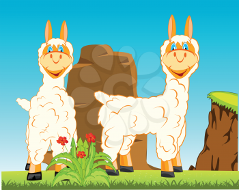 Vector illustration animal lama in the middle wild nature
