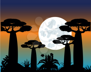 Evening landscape with tree baobab on background night sky