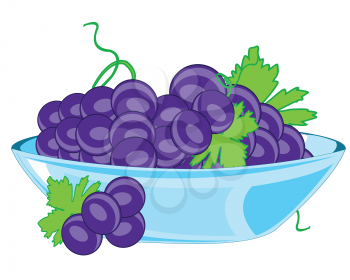 Vector illustration of the plate with ripe grape