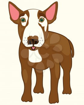 Vector illustration of the dog of the sort bull terrier cartoon