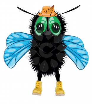 Vector illustration insect fly in shoe and hat