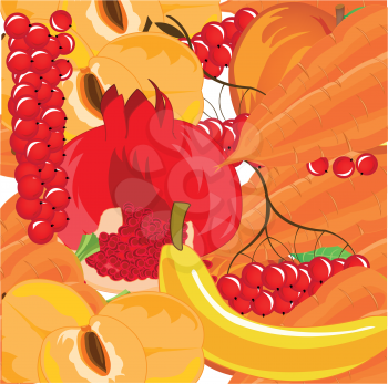 Vector illustration of the background from ripe fruit,berries and vegetables