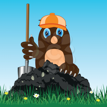 Vector illustration of the mole in cap and with shovel digging land