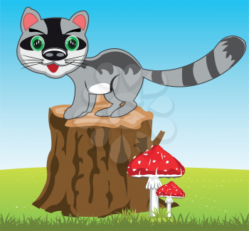 The Wildlife racoon on year glade.Vector illustration