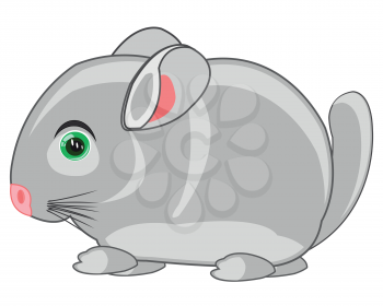 Cartoon pets animal chinchillas on white background is insulated