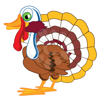 Vector illustration of the beautiful bird turkey on white background
