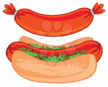 Quick meal hot dog on white background is insulated