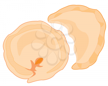 Vector illustration of national meal meat dumplings