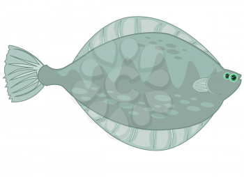 Vector illustration of the cartoon of sea fish plaice
