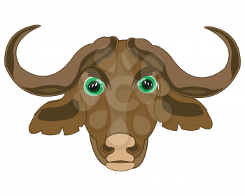 Vector illustration of the head of the wildlife buffalo