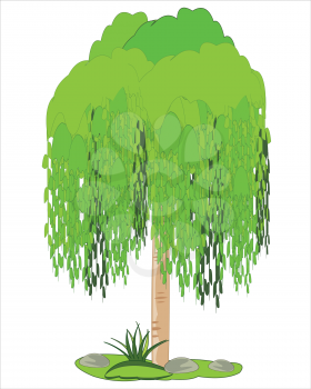Vector illustration tree sorts osier on glade
