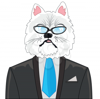 Cartoon of the cat in suit on white background is insulated
