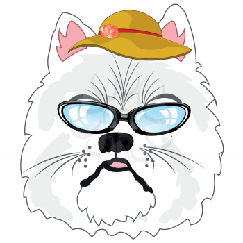 Vector illustration of the cartoon of the fashionable cat bespectacled and hat