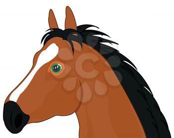 Vector illustration of the cartoon of the mug pets horse