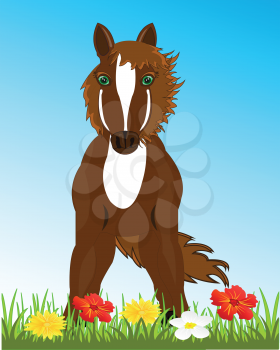 Vector illustration pets horse on green glade with flower