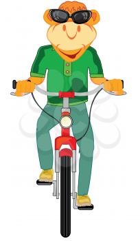 Vector illustration of the cartoon animal on transport facility bicycle