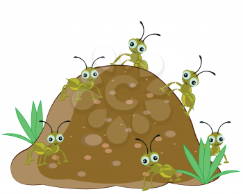 Big anthill with insect ant on white background
