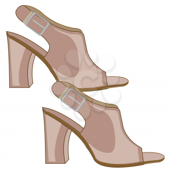 Year footwear feminine sandals with heel.Vector illustration