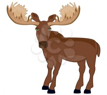 Vector illustration ungulate animal moose with greater horn