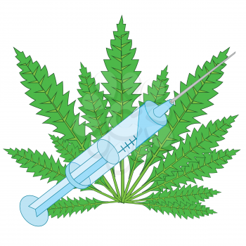 Sheet of the hemp and syringe on white background is insulated